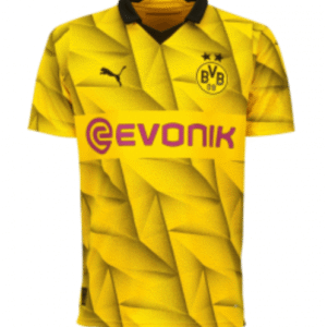 Camiseta Borussia Dortmund 23/24 1ª equipación edición Champions League