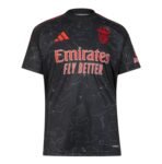 Camiseta Benfica 24/25 2ª equipación