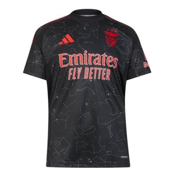 Camiseta Benfica 24/25 2ª equipación