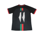 Camiseta Palestina Concepto