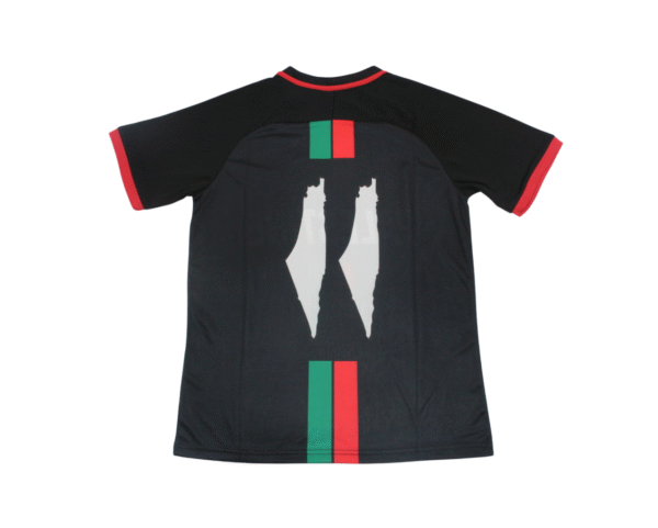 Camiseta Palestina Concepto