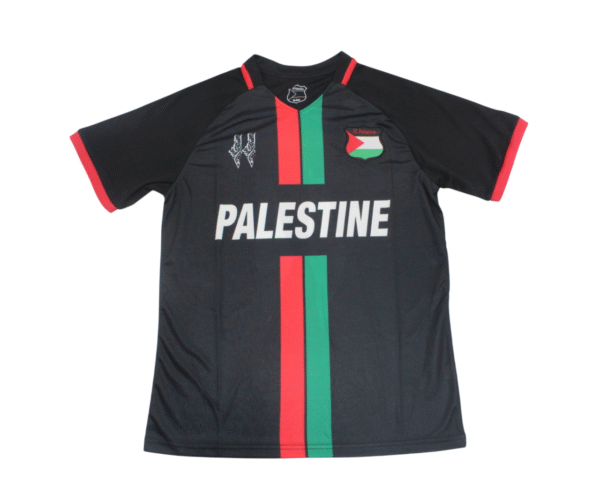 Camiseta Palestina Concepto