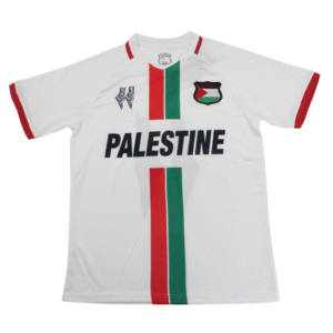 Camiseta Palestina Concepto