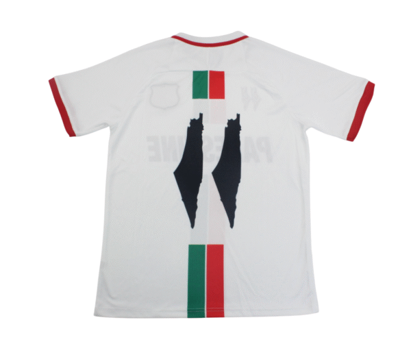 Camiseta Palestina Concepto