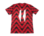 Camiseta Palestina Concepto
