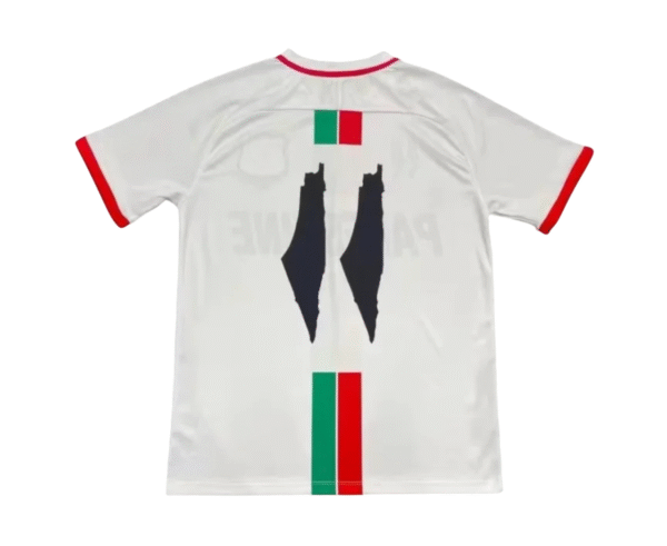 Camiseta Palestina Concepto