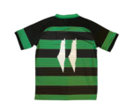 Camiseta Palestina Concepto