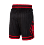 Pantalón Corto Chicago Bulls Statement 24/25