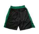 Pantalón Corto Boston Celtics Hardwood Classics