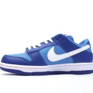 NIKE-DUNK-LOW-RETRO-ARGON-1.jpeg
